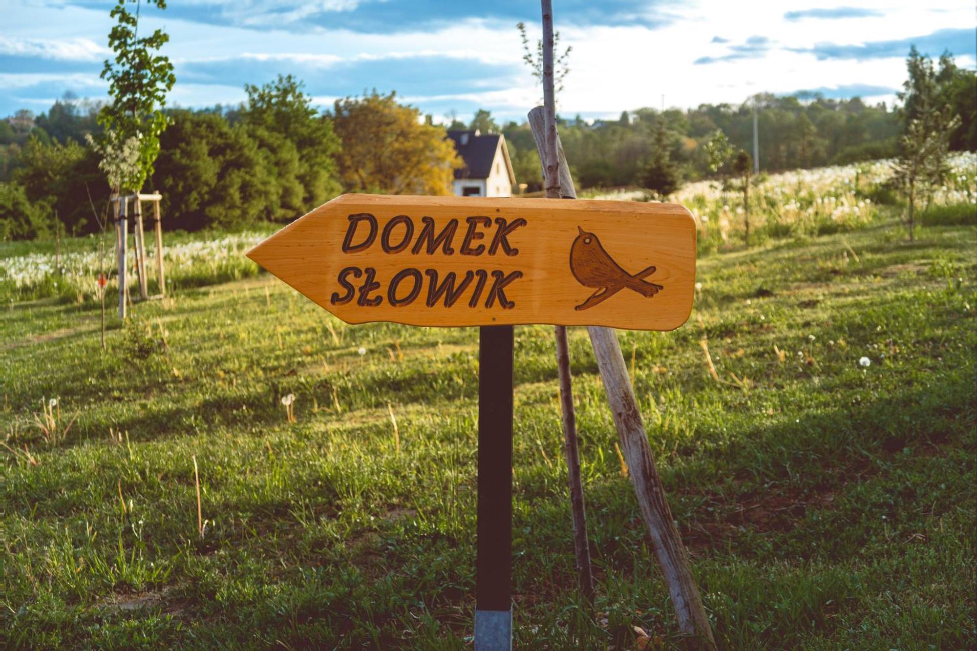 Domki Na Gorniej Lace - Domek Slowik Lazany المظهر الخارجي الصورة